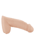 Calexotics Packer Gear Packing Penis 5" - Vanilla