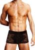 Prowler Lace Trunk