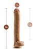 Dr. Skin Dr. Michael Dildo with Balls and Suction Cup 14"