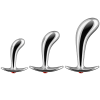 Stainless Prostate Training Kit by Closet