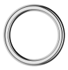 The Stainless Steel Ring by Closet (M)