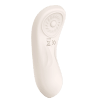 Hidden Pleasure Panty Vibrator with Remote