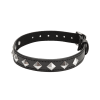 Kink Collar