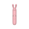 Stim Bullet