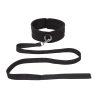 Leash and Collar