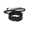 Leash and Collar