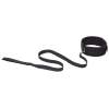 Leash and Collar