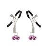 2pc Nipple Clips with Bells