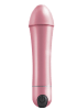 Intense Icon Vibrator