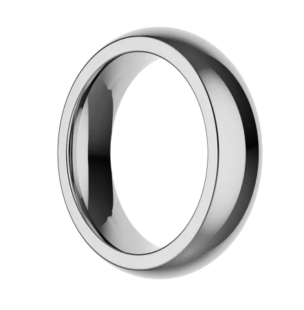 The Stainless Steel Ring by Closet (S)