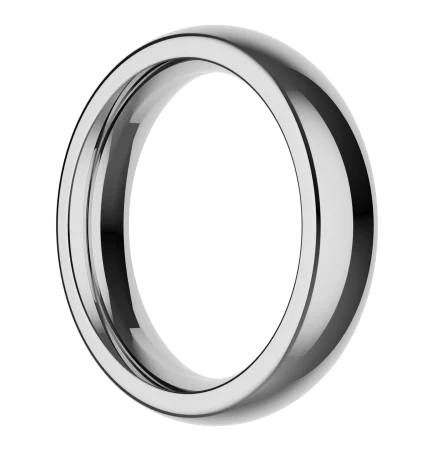 The Stainless Steel Ring by Closet (M)