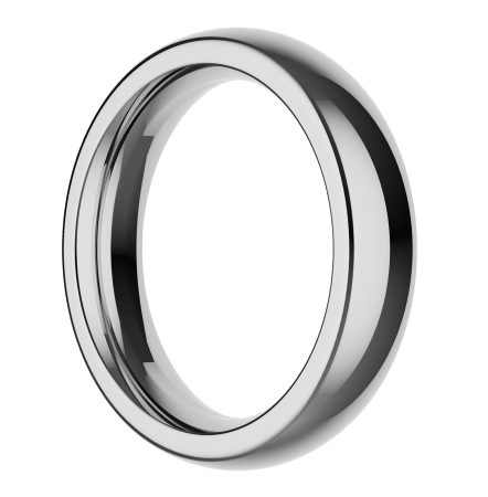 The Stainless Steel Ring by Closet (M)