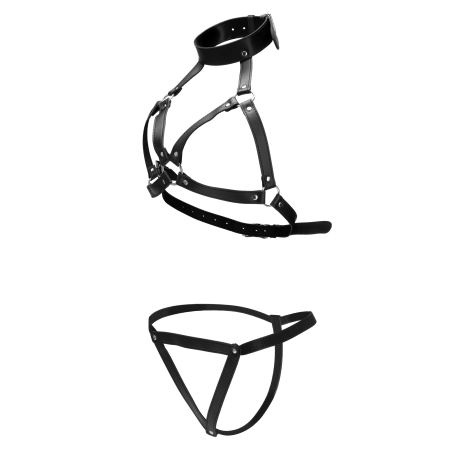 Restrained Deluxe Body Restraint Set