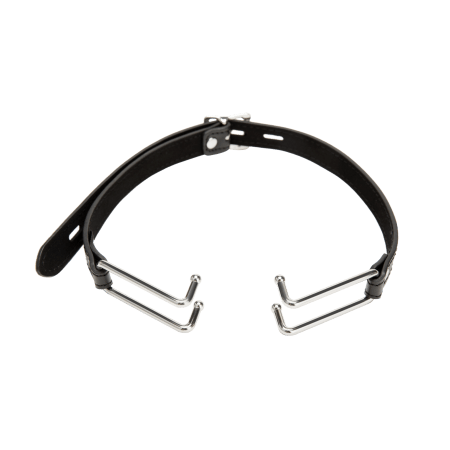 Kink Open-Mouth Gag