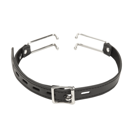 Kink Open-Mouth Gag
