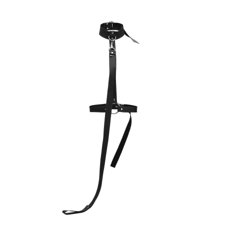 Restrained Body Restraint + Leash