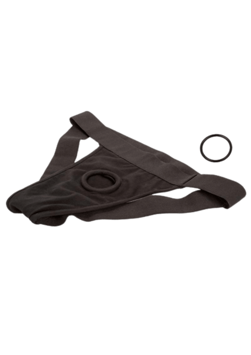 CalExotics Packer Gear Jock Harness