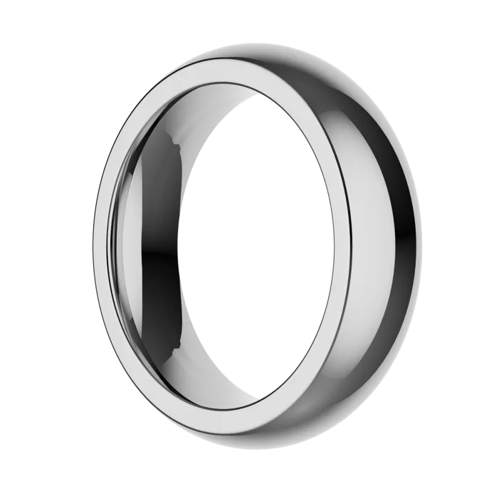 The Stainless Steel Ring by Closet (S)