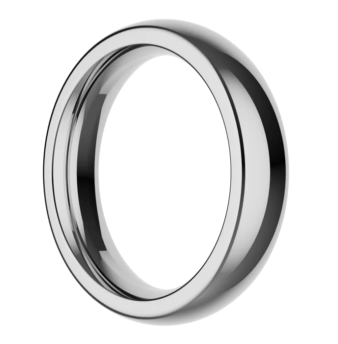 The Stainless Steel Ring by Closet (M)