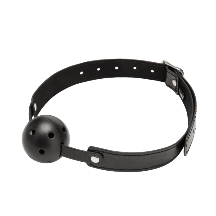 Ballgag