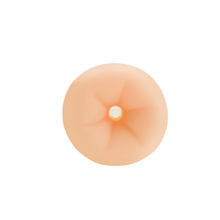 Anal Stroker
