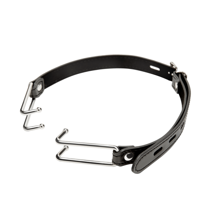 Kink Open-Mouth Gag