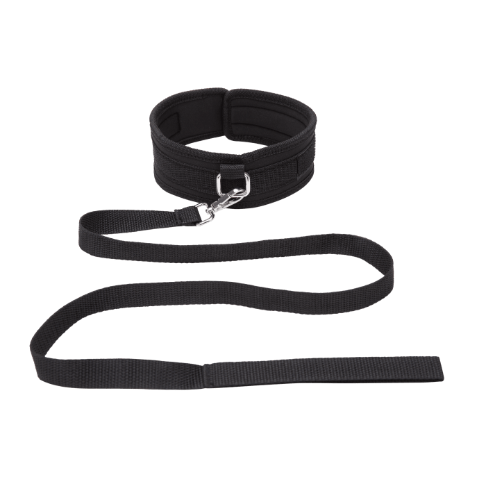 Leash and Collar
