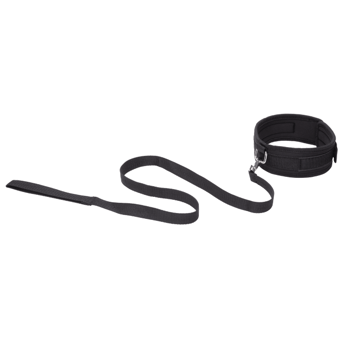 Leash and Collar
