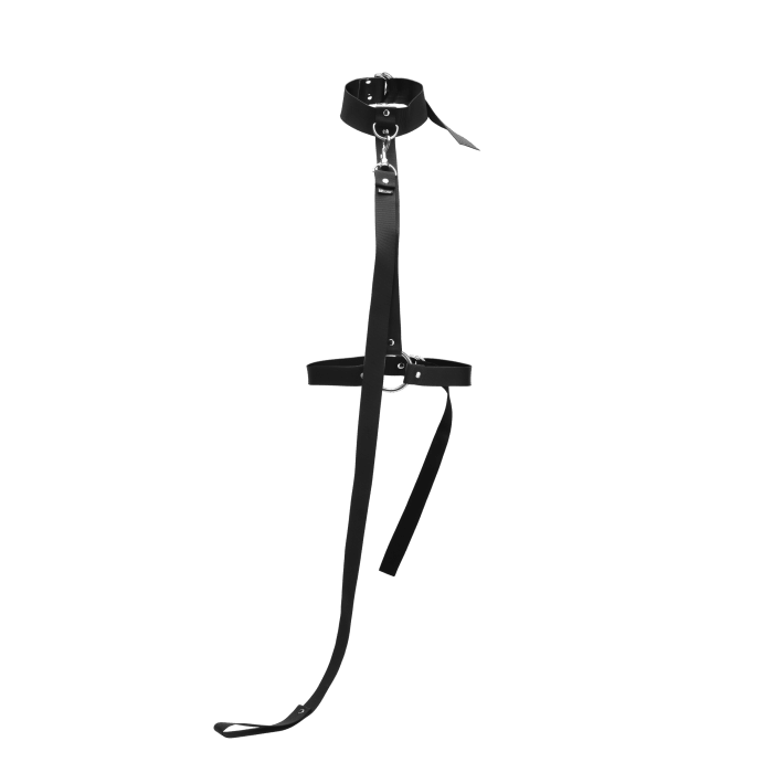 Restrained Body Restraint + Leash