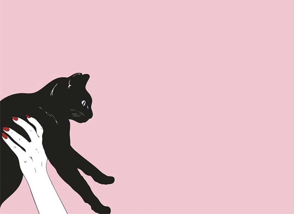 Cats Sex Porn - Consent, intuition, & emotional labour: A response to Cat Person | Bellesa  - Porn for Women