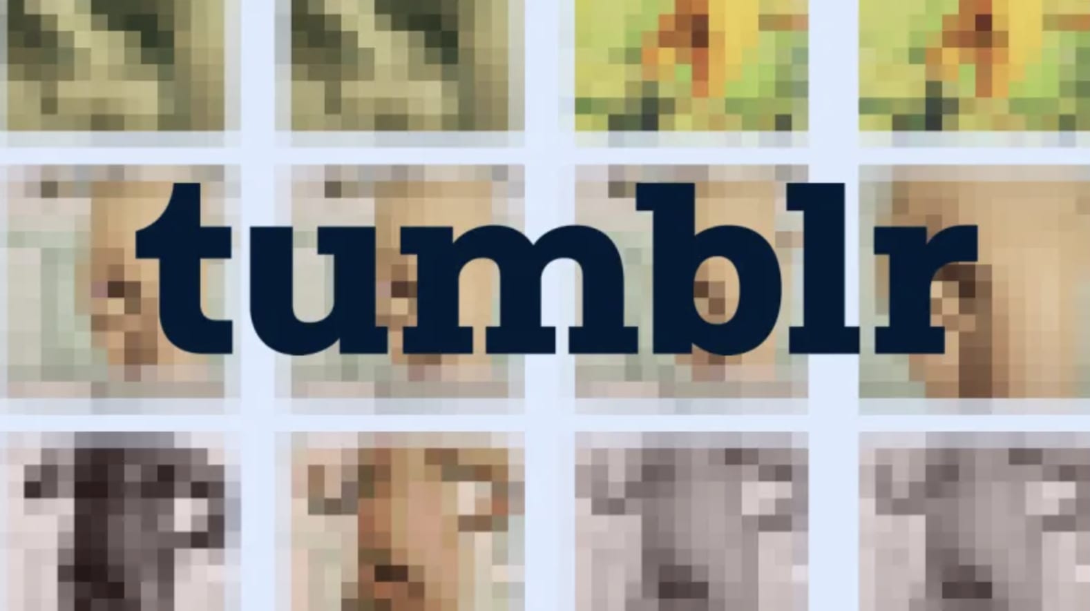Good Vibes Porn Tumblr - Tumblr has officially banned porn (yes, on the International Day to End  Violence Against Sex Workers) | Bellesa - Porn for Women